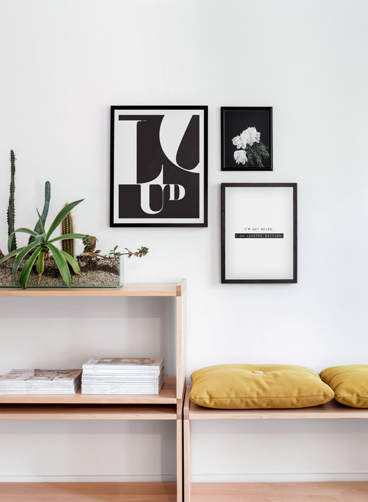 Limited Edition, Poster