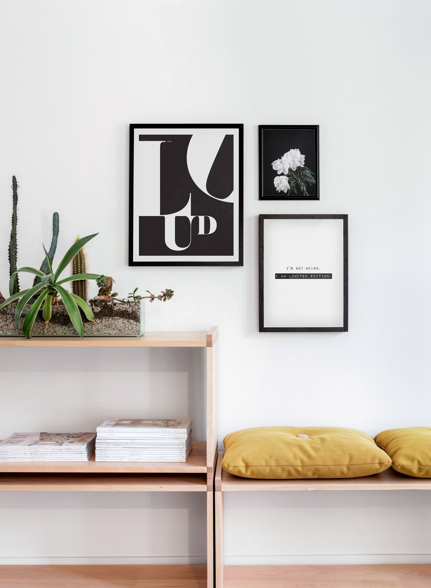 Limited Edition, Poster